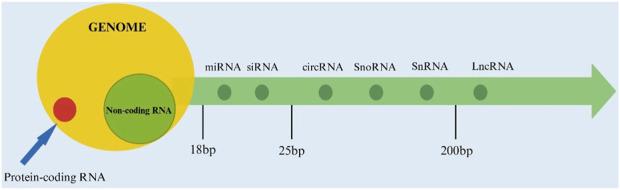 https://cdn.ncbi.nlm.nih.gov/pmc/blobs/21da/11979253/b27d16d46b82/fbioe-13-1522303-g002.jpg