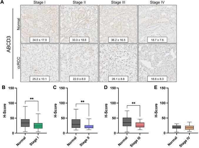 https://cdn.ncbi.nlm.nih.gov/pmc/blobs/21db/12402713/15df4d51e917/cgp-22-710-g0001.jpg