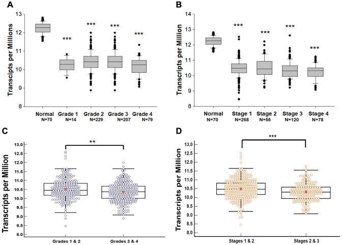 https://cdn.ncbi.nlm.nih.gov/pmc/blobs/21db/12402713/bd89ea67c90c/cgp-22-707-g0001.jpg