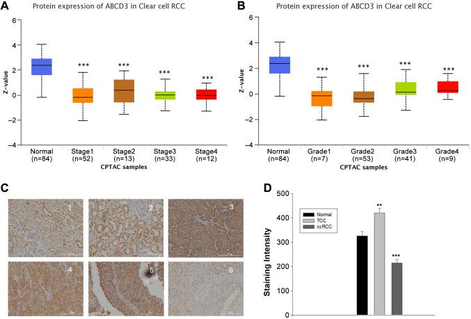 https://cdn.ncbi.nlm.nih.gov/pmc/blobs/21db/12402713/f6c2cdae01c6/cgp-22-709-g0001.jpg