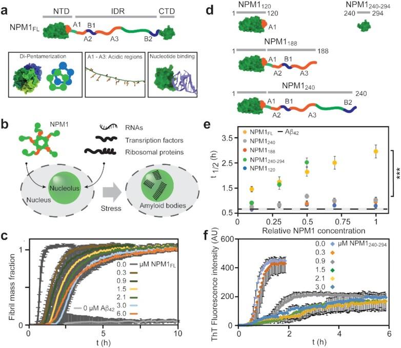 https://cdn.ncbi.nlm.nih.gov/pmc/blobs/21db/9896144/0726cd085c28/pgac303fig1.jpg