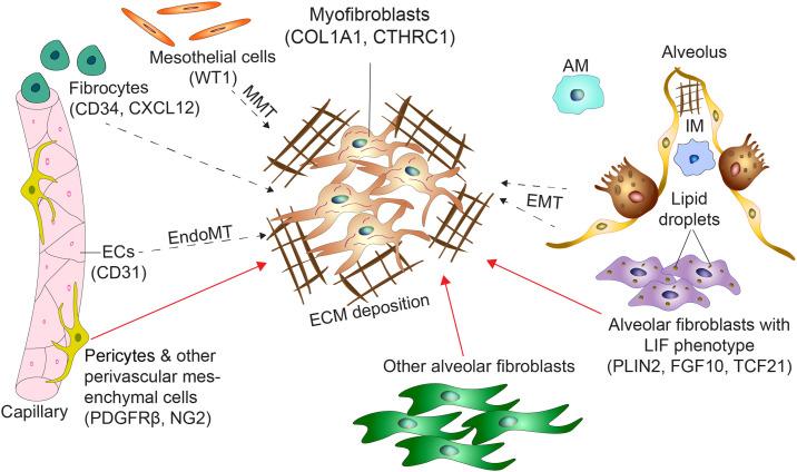 https://cdn.ncbi.nlm.nih.gov/pmc/blobs/21dc/11471099/995237627159/gr1.jpg