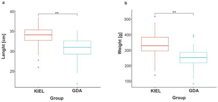 https://cdn.ncbi.nlm.nih.gov/pmc/blobs/21de/10706248/2b9db7365777/cells-12-02760-g003.jpg