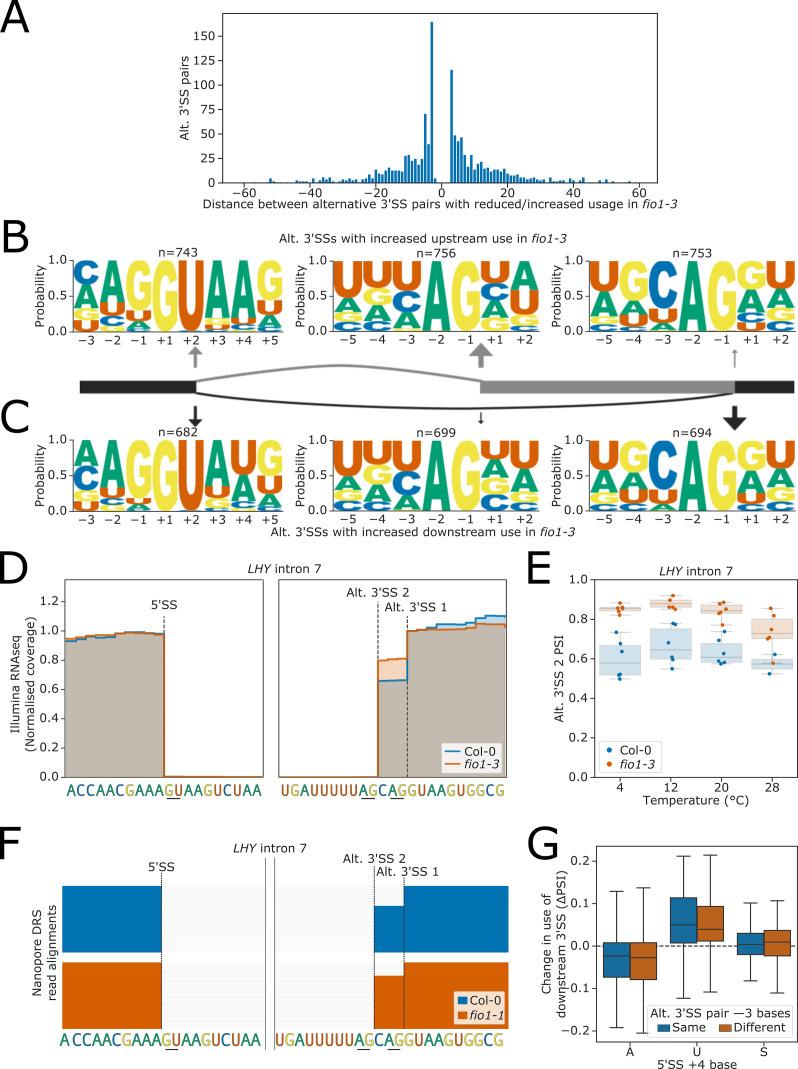 https://cdn.ncbi.nlm.nih.gov/pmc/blobs/21de/9803359/61108b4a01ca/elife-78808-fig6.jpg