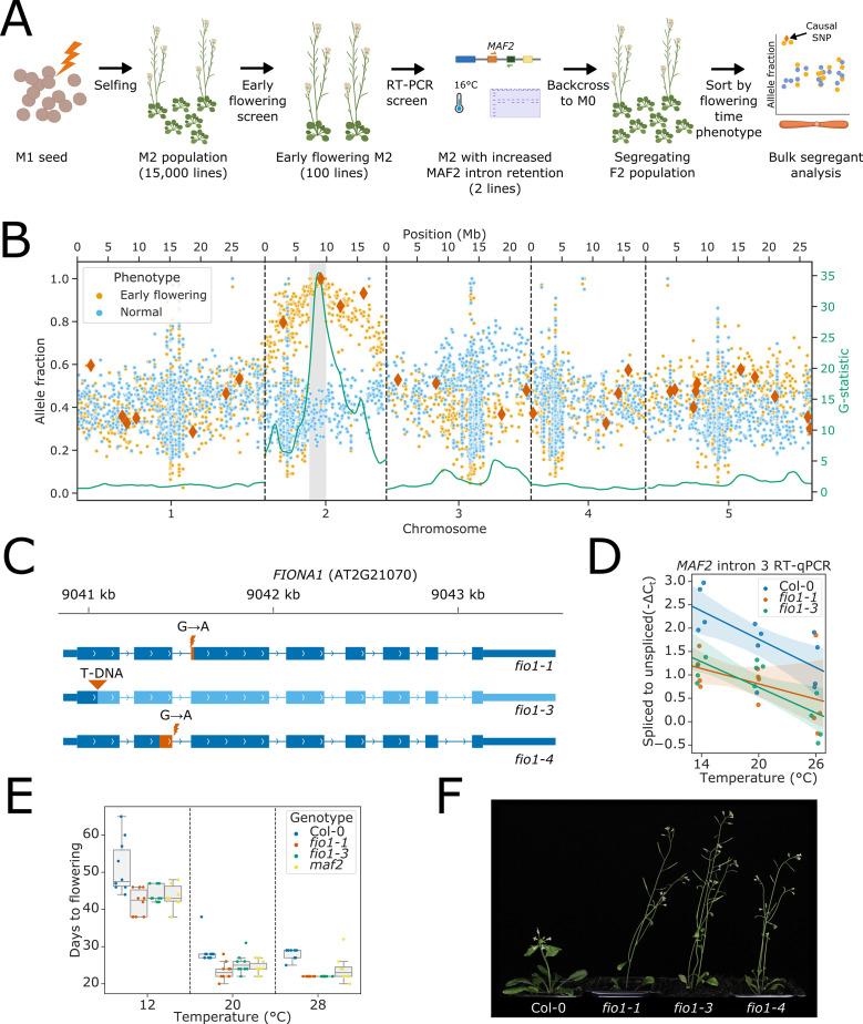https://cdn.ncbi.nlm.nih.gov/pmc/blobs/21de/9803359/c410b473ab58/elife-78808-fig1.jpg