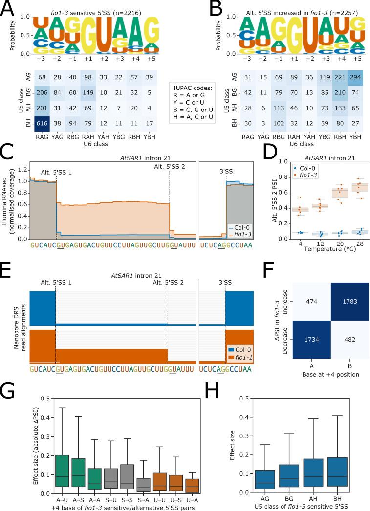 https://cdn.ncbi.nlm.nih.gov/pmc/blobs/21de/9803359/ef9f3a938850/elife-78808-fig4.jpg