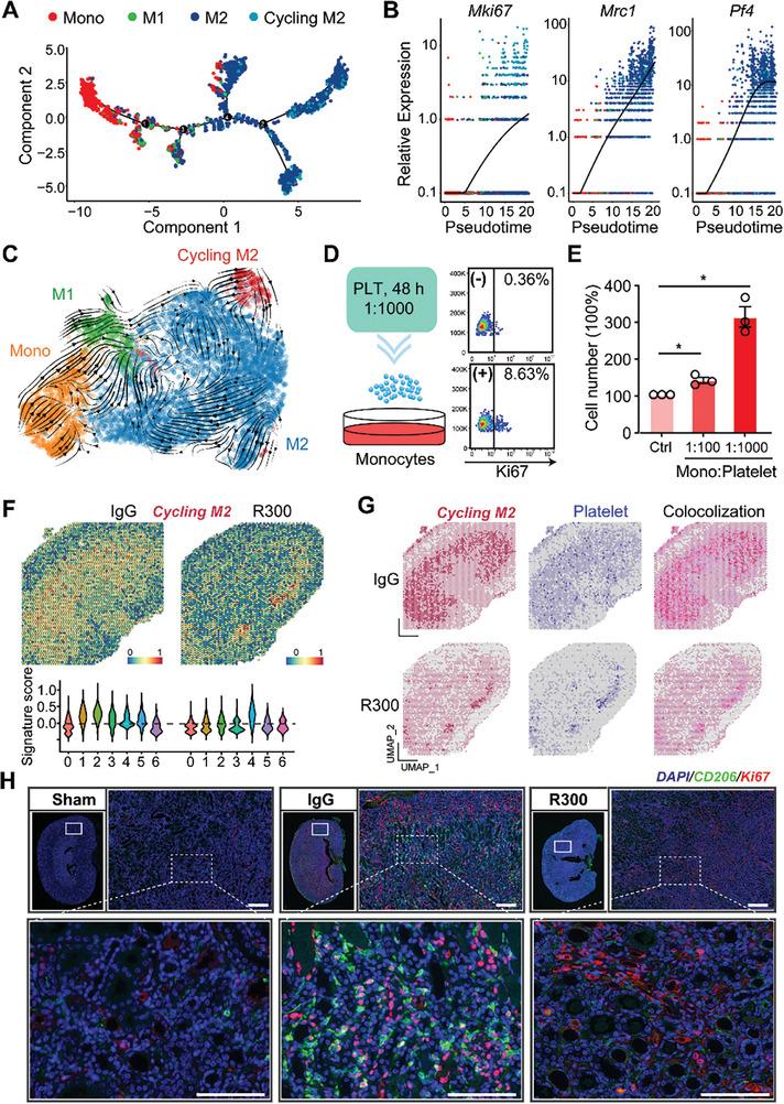https://cdn.ncbi.nlm.nih.gov/pmc/blobs/21df/11304276/cdd8bbb15bb1/ADVS-11-2308505-g006.jpg