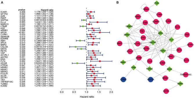 https://cdn.ncbi.nlm.nih.gov/pmc/blobs/21df/7493716/76ed67d0cb2d/fonc-10-01588-g0004.jpg