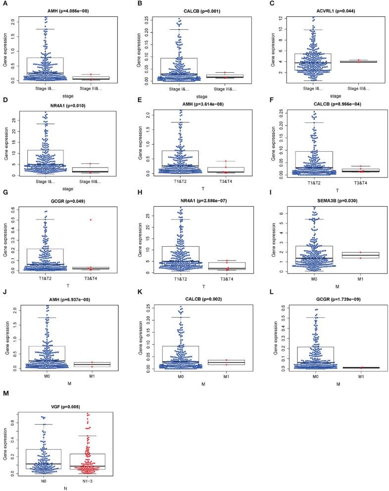 https://cdn.ncbi.nlm.nih.gov/pmc/blobs/21df/7493716/9130d3ca8d10/fonc-10-01588-g0007.jpg