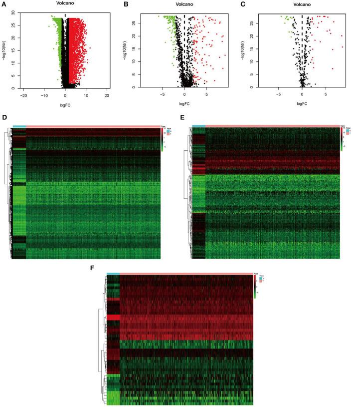 https://cdn.ncbi.nlm.nih.gov/pmc/blobs/21df/7493716/aaf431199413/fonc-10-01588-g0001.jpg