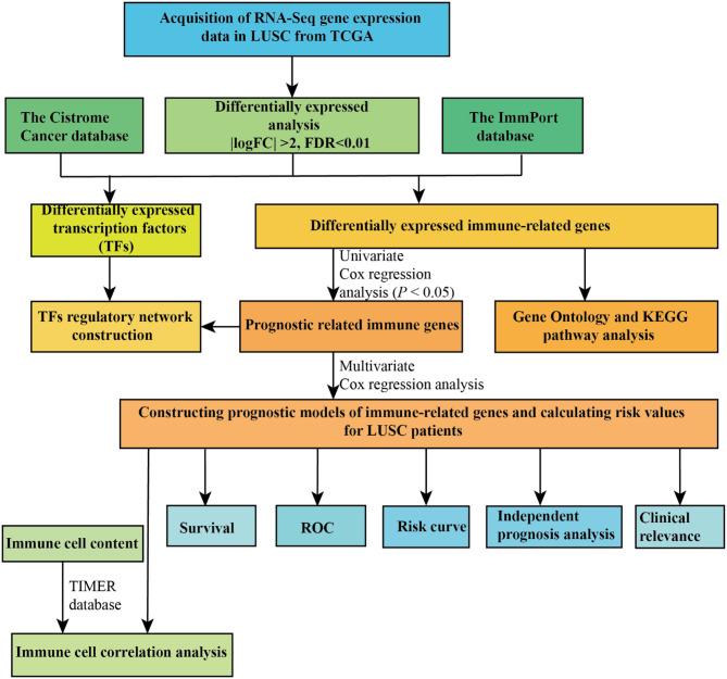 https://cdn.ncbi.nlm.nih.gov/pmc/blobs/21df/7493716/d160ef09e34c/fonc-10-01588-g0002.jpg