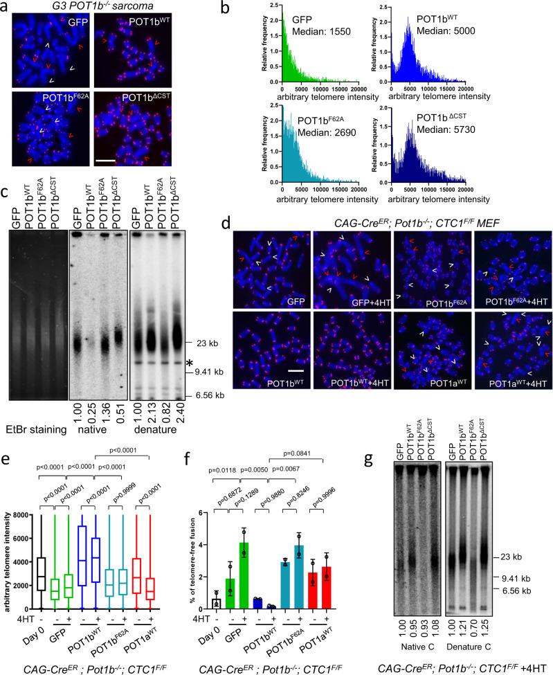 https://cdn.ncbi.nlm.nih.gov/pmc/blobs/21df/8448735/1edca80a1fc3/41467_2021_25799_Fig2_HTML.jpg