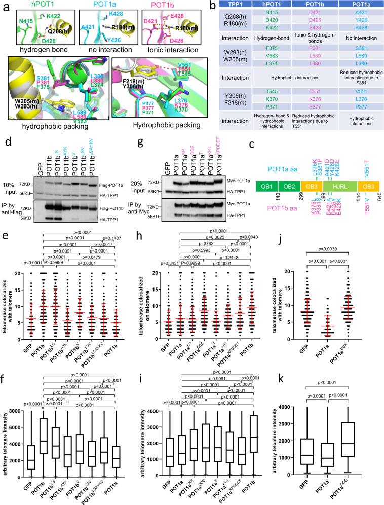 https://cdn.ncbi.nlm.nih.gov/pmc/blobs/21df/8448735/585f06cf93b8/41467_2021_25799_Fig6_HTML.jpg