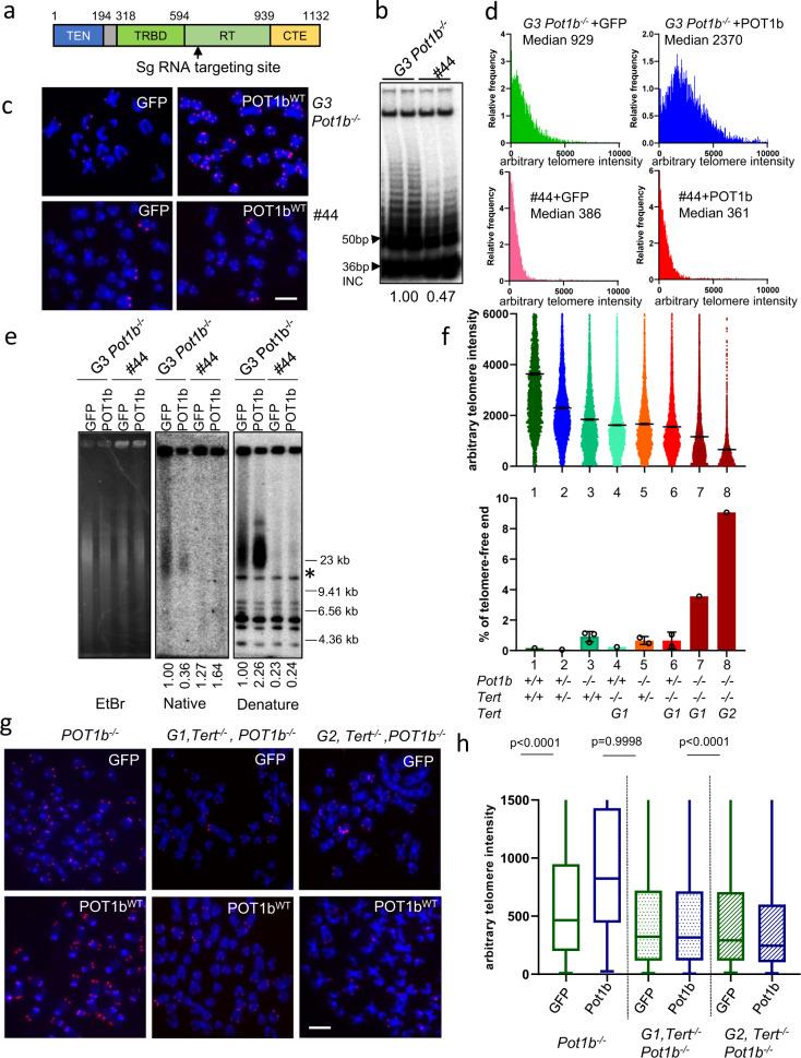 https://cdn.ncbi.nlm.nih.gov/pmc/blobs/21df/8448735/ac449d19c79a/41467_2021_25799_Fig3_HTML.jpg