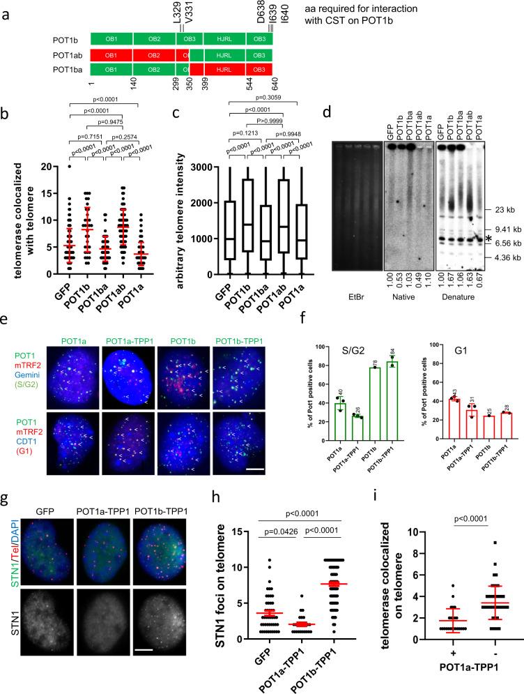 https://cdn.ncbi.nlm.nih.gov/pmc/blobs/21df/8448735/baa3074d04f7/41467_2021_25799_Fig5_HTML.jpg