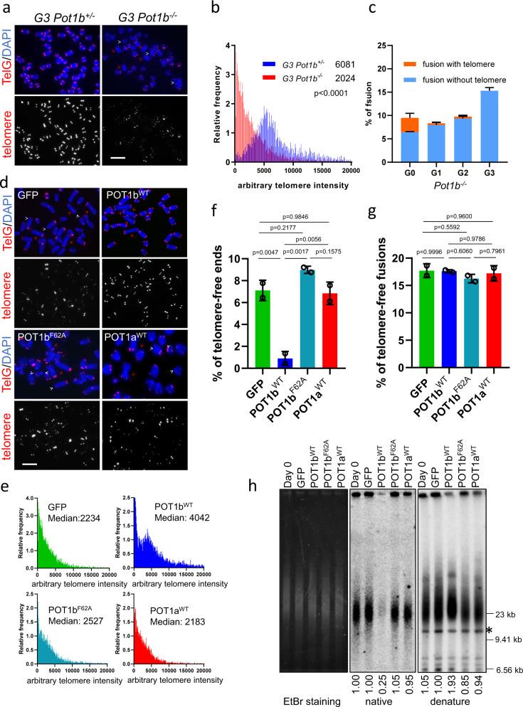 https://cdn.ncbi.nlm.nih.gov/pmc/blobs/21df/8448735/ec3ae572222e/41467_2021_25799_Fig1_HTML.jpg