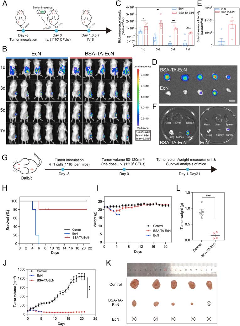 https://cdn.ncbi.nlm.nih.gov/pmc/blobs/21e0/12049847/00aaaff0ab4c/gr7.jpg