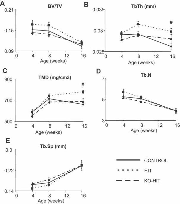 https://cdn.ncbi.nlm.nih.gov/pmc/blobs/21e0/3153133/d8e8773fec17/jbmr0025-1257-f3.jpg