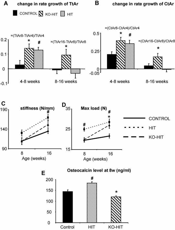 https://cdn.ncbi.nlm.nih.gov/pmc/blobs/21e0/3153133/f183e4307286/jbmr0025-1257-f4.jpg