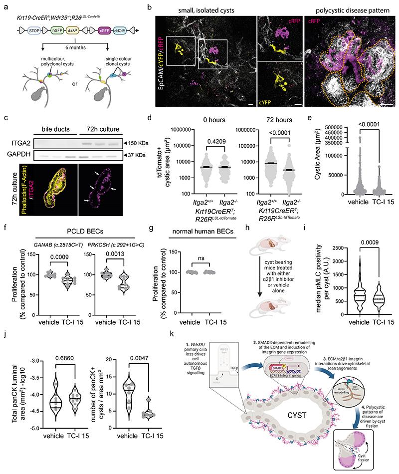 https://cdn.ncbi.nlm.nih.gov/pmc/blobs/21e5/7615241/1a3743a5084e/EMS189123-f004.jpg