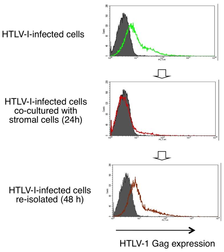 https://cdn.ncbi.nlm.nih.gov/pmc/blobs/21e6/3432515/b2e3335beb41/fmicb-03-00323-g003.jpg
