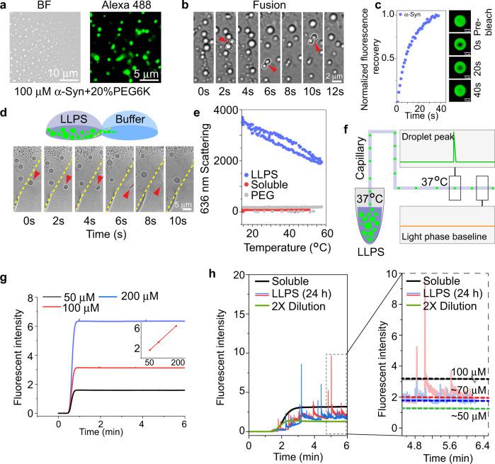 https://cdn.ncbi.nlm.nih.gov/pmc/blobs/21e8/8674230/6c9c4be0f313/41467_2021_27433_Fig5_HTML.jpg