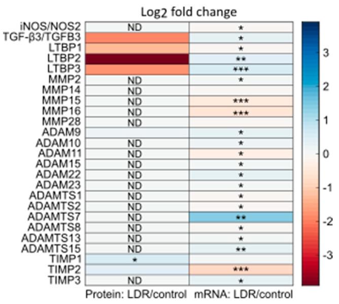 https://cdn.ncbi.nlm.nih.gov/pmc/blobs/21e8/9332371/150b72c47304/ijms-23-08147-g002.jpg