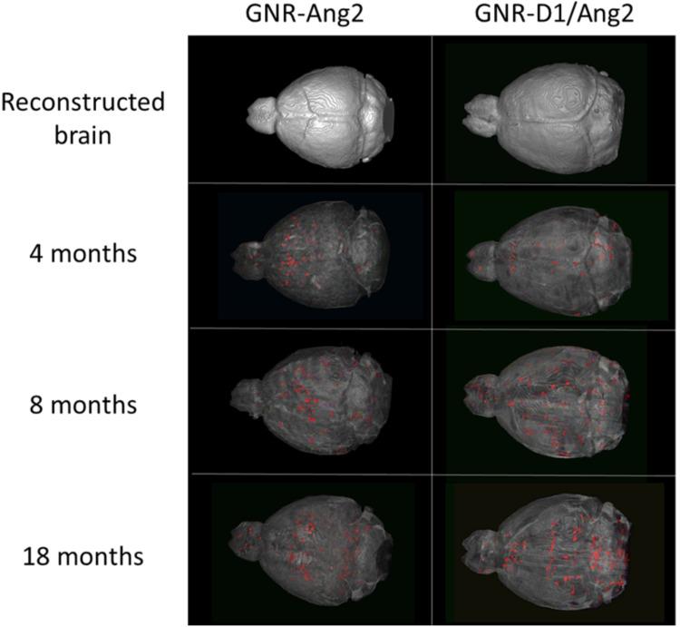 https://cdn.ncbi.nlm.nih.gov/pmc/blobs/21e9/10759924/3dde04fbdd31/IJN-18-8169-g0006.jpg