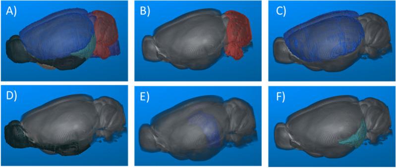 https://cdn.ncbi.nlm.nih.gov/pmc/blobs/21e9/10759924/f4d4cd36b715/IJN-18-8169-g0007.jpg