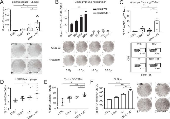 https://cdn.ncbi.nlm.nih.gov/pmc/blobs/21ea/7875275/12ba9bb90473/jitc-2020-001636f05.jpg