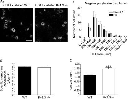 https://cdn.ncbi.nlm.nih.gov/pmc/blobs/21eb/2876798/f4b1d8dc2844/tjp0588-1399-f4.jpg