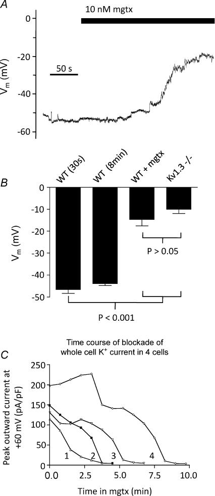 https://cdn.ncbi.nlm.nih.gov/pmc/blobs/21eb/2876798/fc8c75829aad/tjp0588-1399-f2.jpg