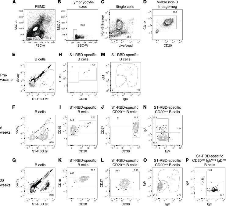 https://cdn.ncbi.nlm.nih.gov/pmc/blobs/21ec/9309052/58ee98c5c856/jciinsight-7-159618-g109.jpg