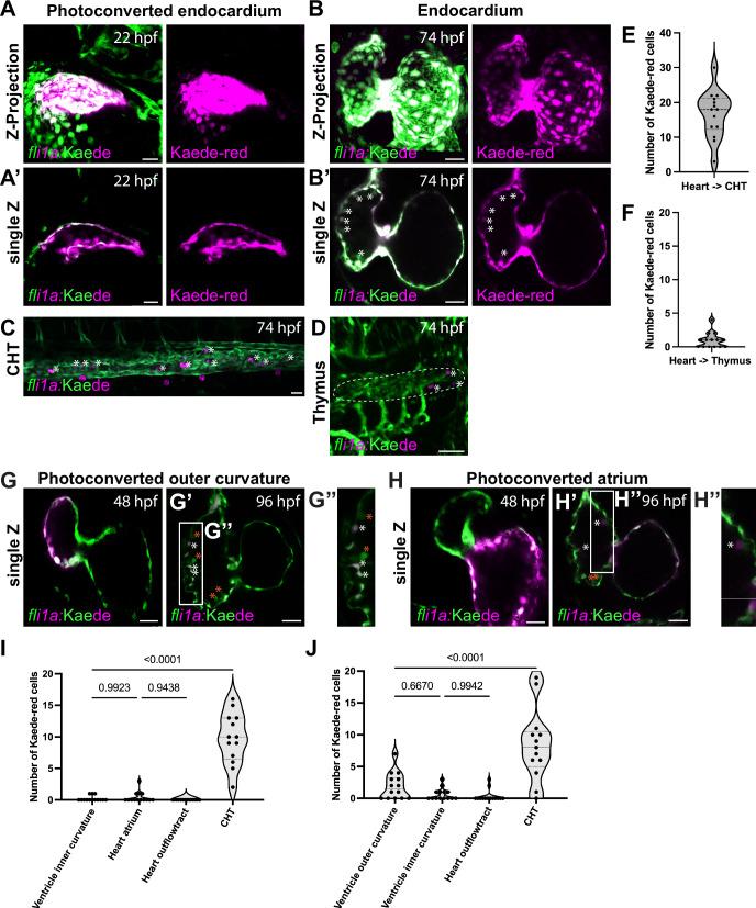 https://cdn.ncbi.nlm.nih.gov/pmc/blobs/21ef/11366026/138bfe7ff592/41467_2024_51920_Fig2_HTML.jpg