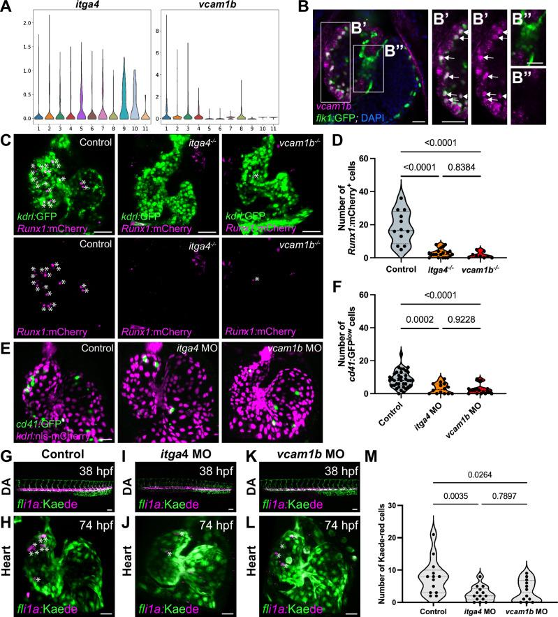https://cdn.ncbi.nlm.nih.gov/pmc/blobs/21ef/11366026/ad67d7090684/41467_2024_51920_Fig5_HTML.jpg
