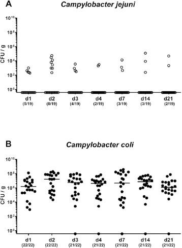https://cdn.ncbi.nlm.nih.gov/pmc/blobs/21f0/7391380/b6892f31ff7a/eujmi-10-080-g001.jpg