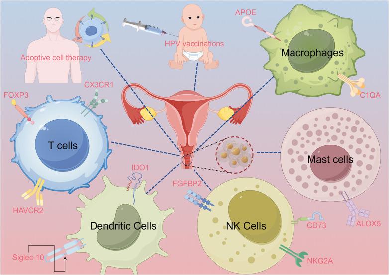 https://cdn.ncbi.nlm.nih.gov/pmc/blobs/21f3/12286829/ac8dd61f34f8/fonc-15-1620501-g001.jpg