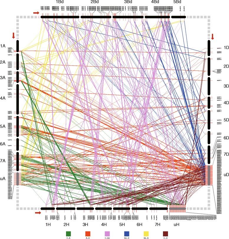https://cdn.ncbi.nlm.nih.gov/pmc/blobs/21f3/4652339/36114ec774e9/12864_2015_2196_Fig2_HTML.jpg