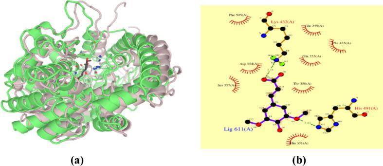 https://cdn.ncbi.nlm.nih.gov/pmc/blobs/21f3/9869477/6f1fc6498585/gr8.jpg