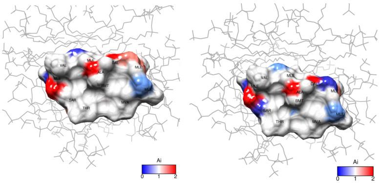 https://cdn.ncbi.nlm.nih.gov/pmc/blobs/21f5/11677049/3391280272b9/ijms-25-13312-g011.jpg