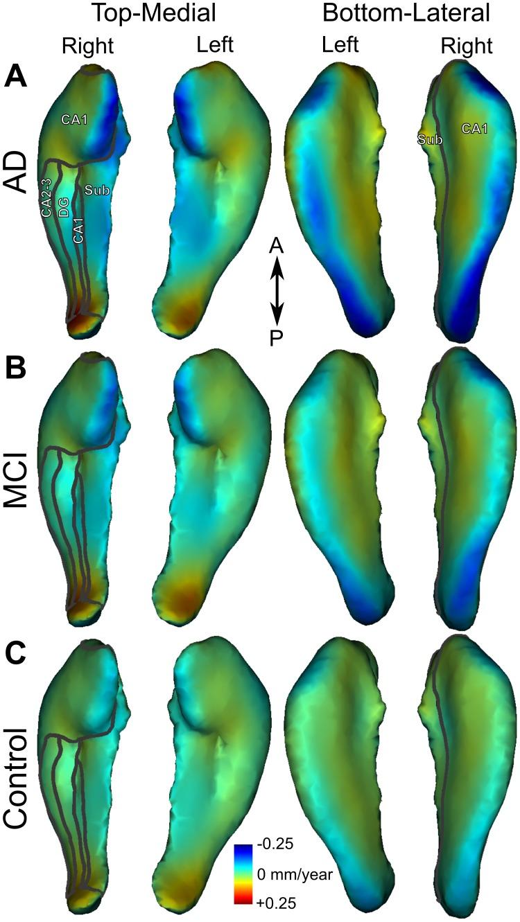 https://cdn.ncbi.nlm.nih.gov/pmc/blobs/21f5/3741167/961eae236859/pone.0071354.g002.jpg