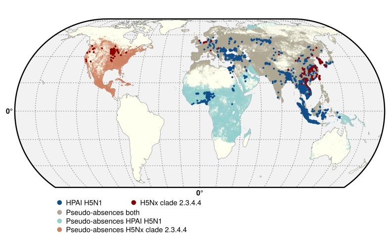 https://cdn.ncbi.nlm.nih.gov/pmc/blobs/21f7/5161450/a07796241c5c/elife-19571-fig5.jpg