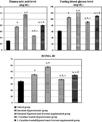 https://cdn.ncbi.nlm.nih.gov/pmc/blobs/21f7/6882958/4afaa6e052cc/PHY2-7-e14282-g001.jpg