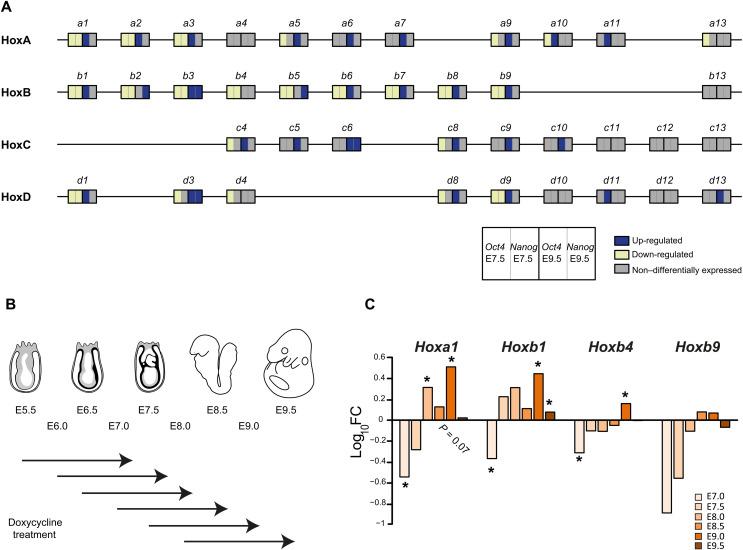 https://cdn.ncbi.nlm.nih.gov/pmc/blobs/21f7/9286507/5e9c2ed64fa3/sciadv.abo3583-f2.jpg