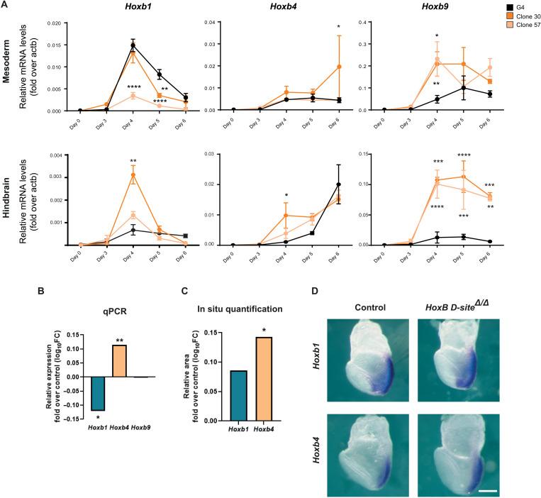 https://cdn.ncbi.nlm.nih.gov/pmc/blobs/21f7/9286507/a53c77f1a7a3/sciadv.abo3583-f6.jpg