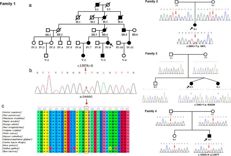 https://cdn.ncbi.nlm.nih.gov/pmc/blobs/21f9/8166055/95c5872075e8/13023_2021_1881_Fig1_HTML.jpg