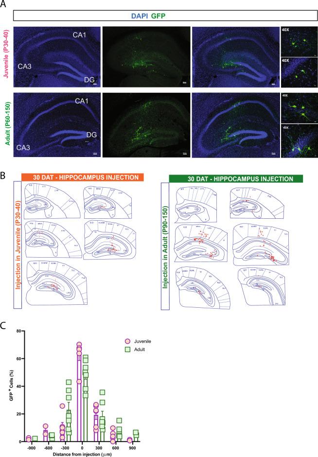 https://cdn.ncbi.nlm.nih.gov/pmc/blobs/21fa/10864292/54f08e43efd3/41598_2024_52478_Fig7_HTML.jpg