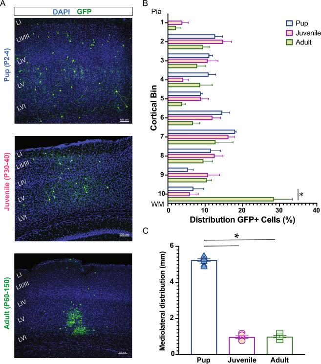 https://cdn.ncbi.nlm.nih.gov/pmc/blobs/21fa/10864292/b70514028e6b/41598_2024_52478_Fig3_HTML.jpg