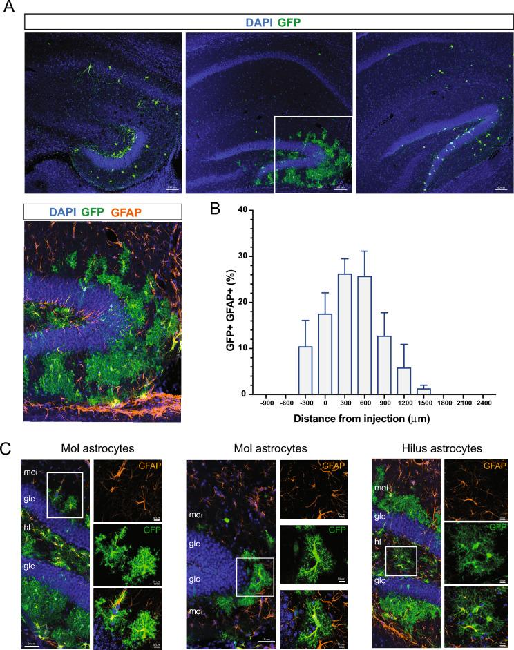 https://cdn.ncbi.nlm.nih.gov/pmc/blobs/21fa/10864292/e0c8f279284d/41598_2024_52478_Fig10_HTML.jpg