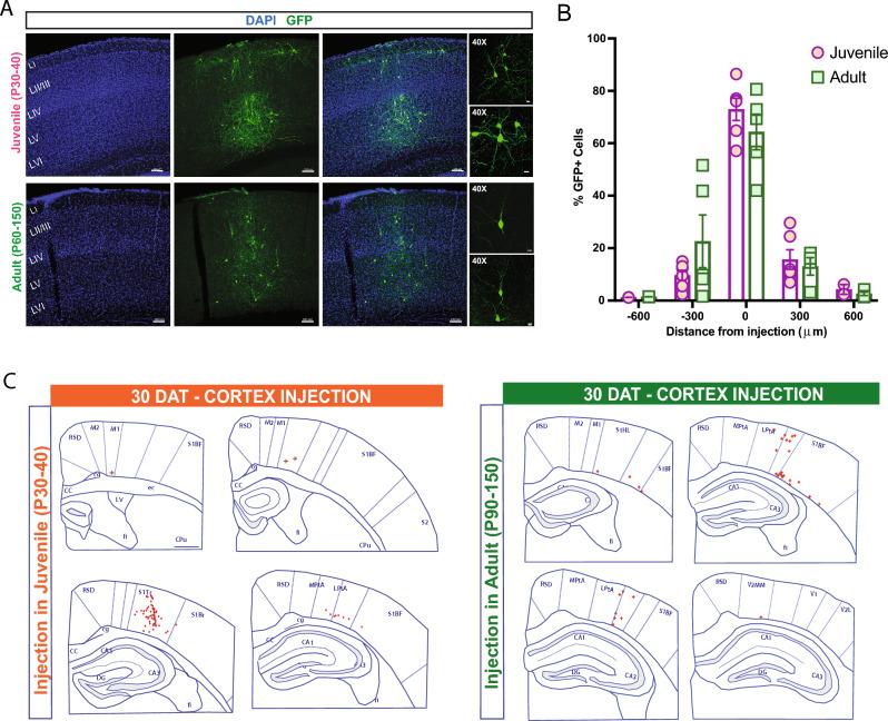 https://cdn.ncbi.nlm.nih.gov/pmc/blobs/21fa/10864292/f15876eec0c7/41598_2024_52478_Fig2_HTML.jpg
